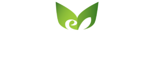 eMPapir